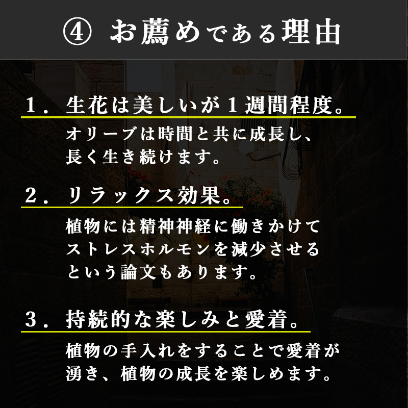 結婚祝いにオリーブのギフトがおすすめな理由