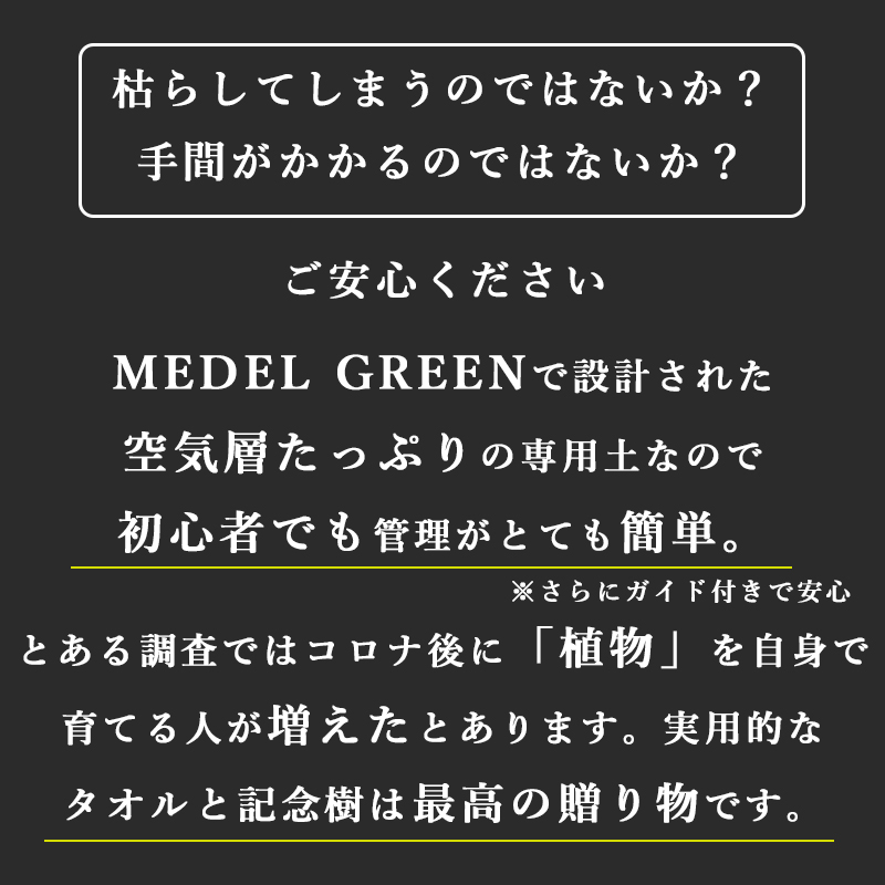 MAX MATERIAとMEDEL GREENのセット商品説明