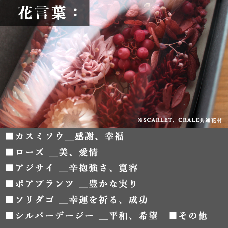 花言葉 カスミソウ ローズ