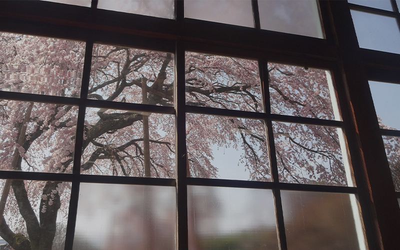 大切な人へ 今までの感謝を込めて 特別な贈り物を MAX MATERIA フラワータオル ギフト のサムネイル画像 1枚目